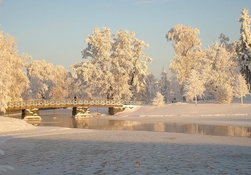 Превью