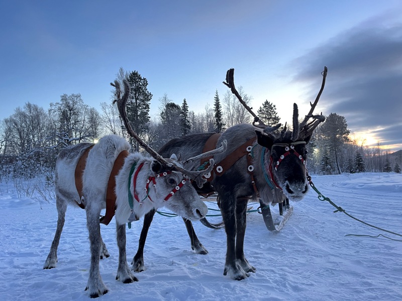 Превью